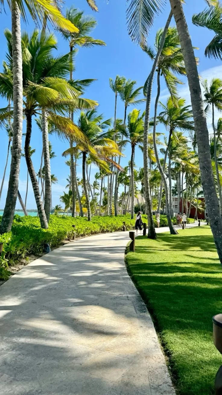 punta cana 8.jpg