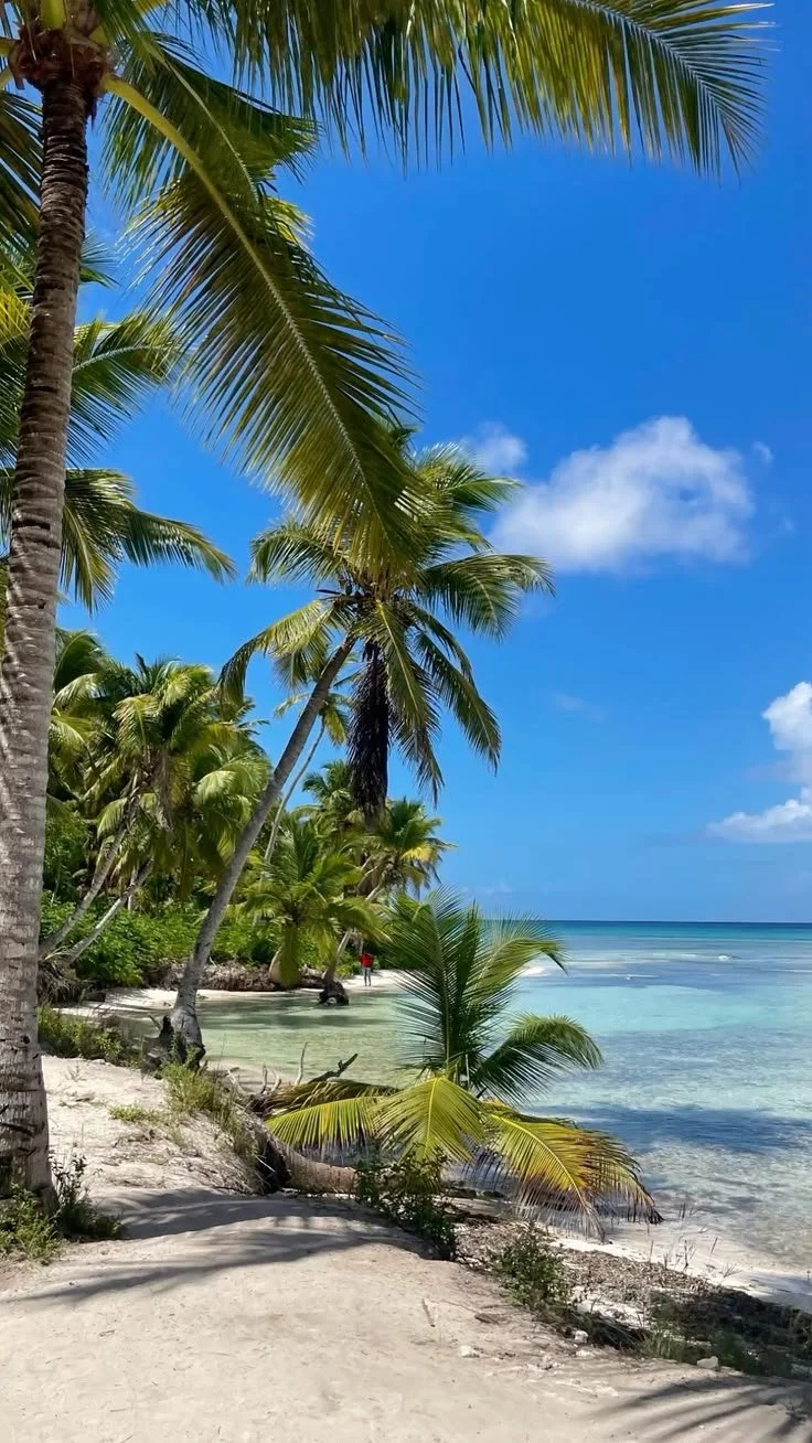 punta cana isla saona.jpg