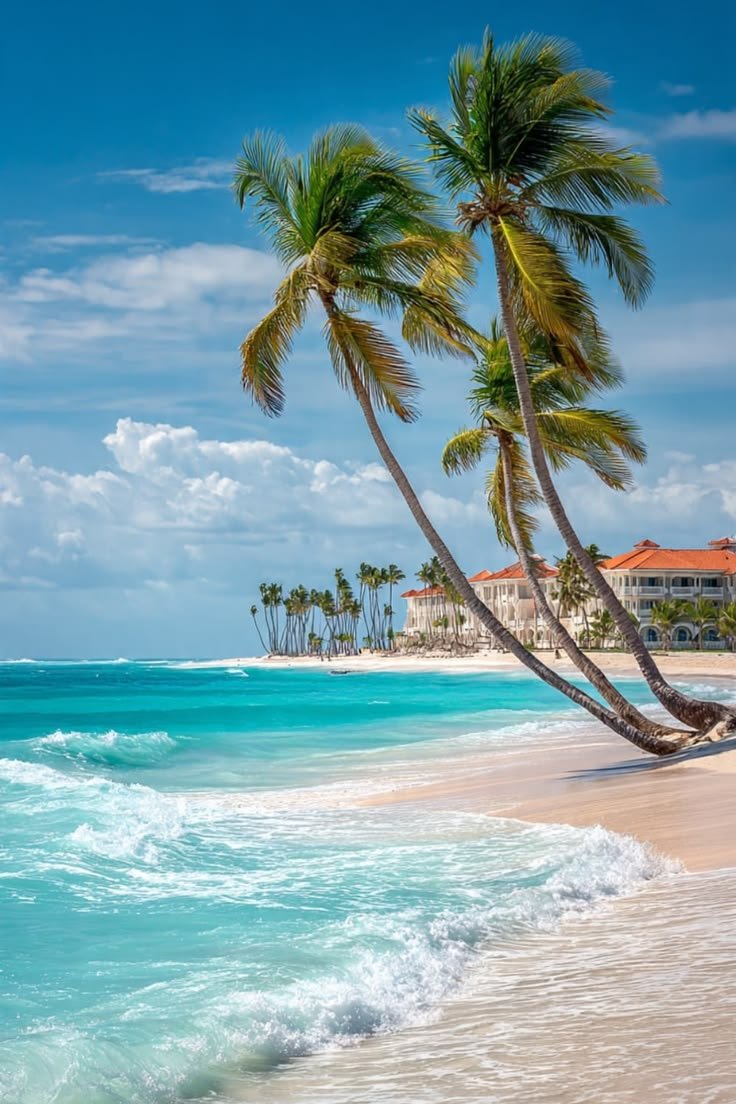 BAYAHIBE 3.jpg