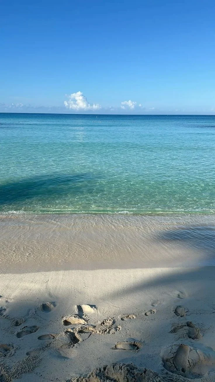 bayahibe 6.jpg