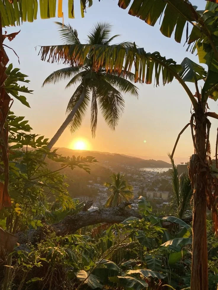 samana 4.jpg