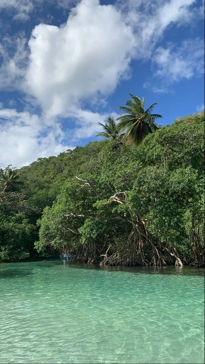 samana 5.jpg