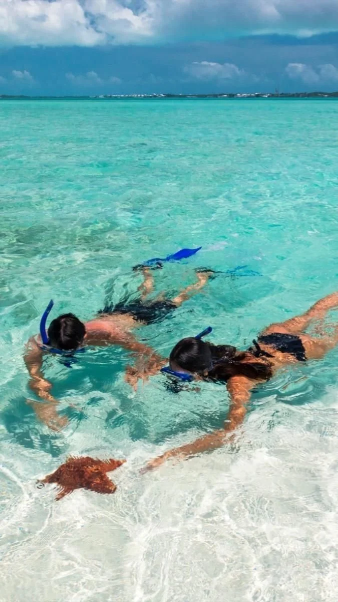 aruba.jpg