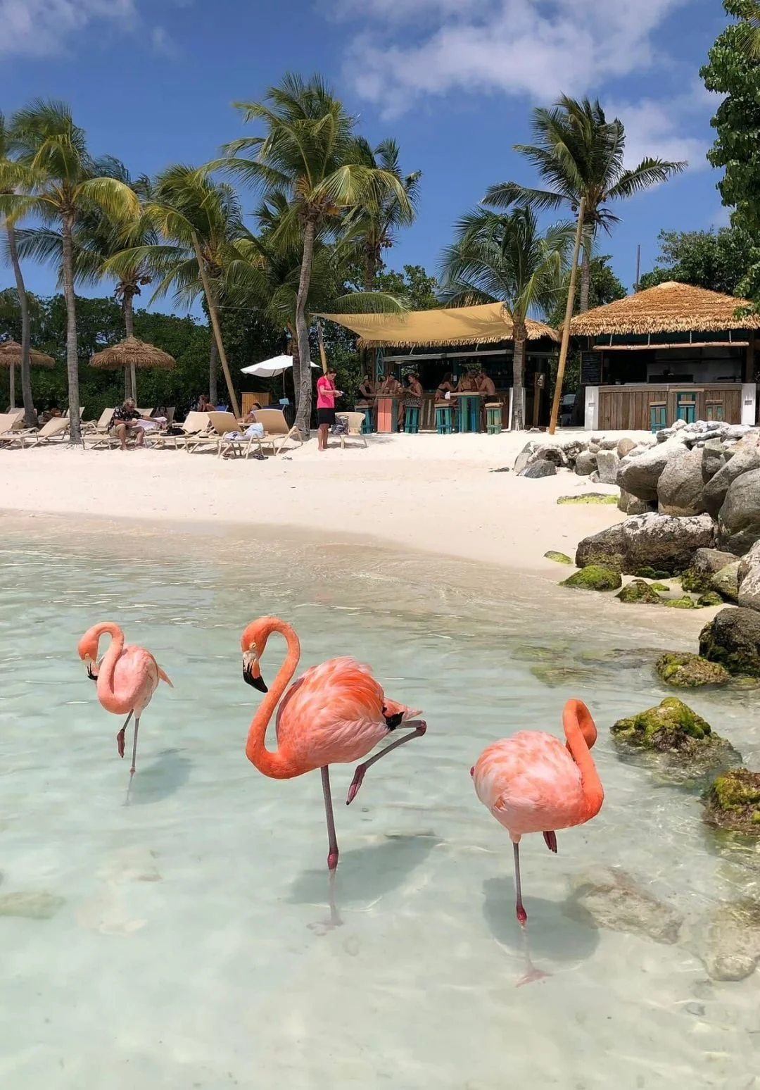aruba 3.jpg
