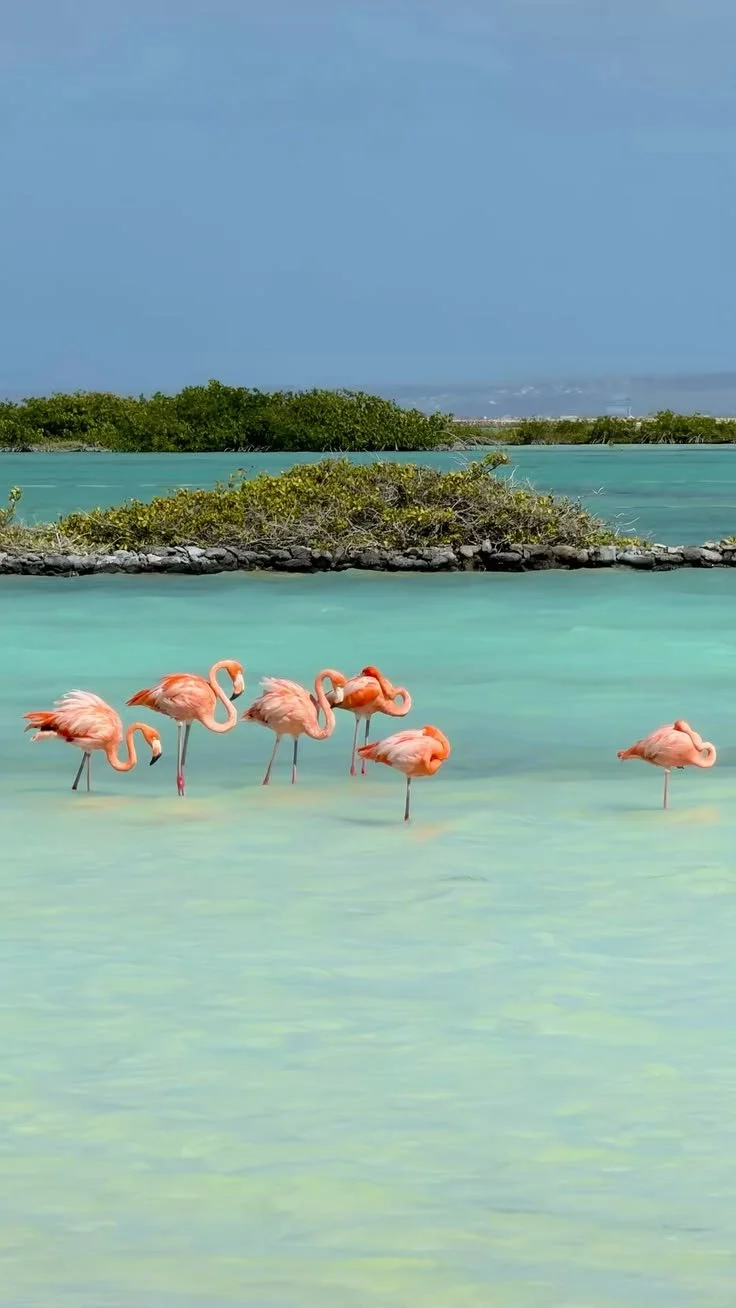 bonaire 2.jpg