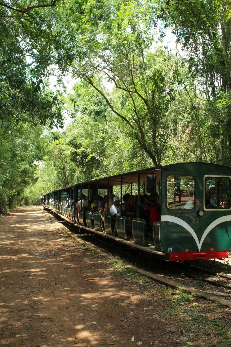 iguazu 5.jpg
