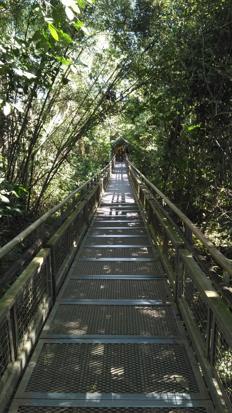 iguazu 6.jpg