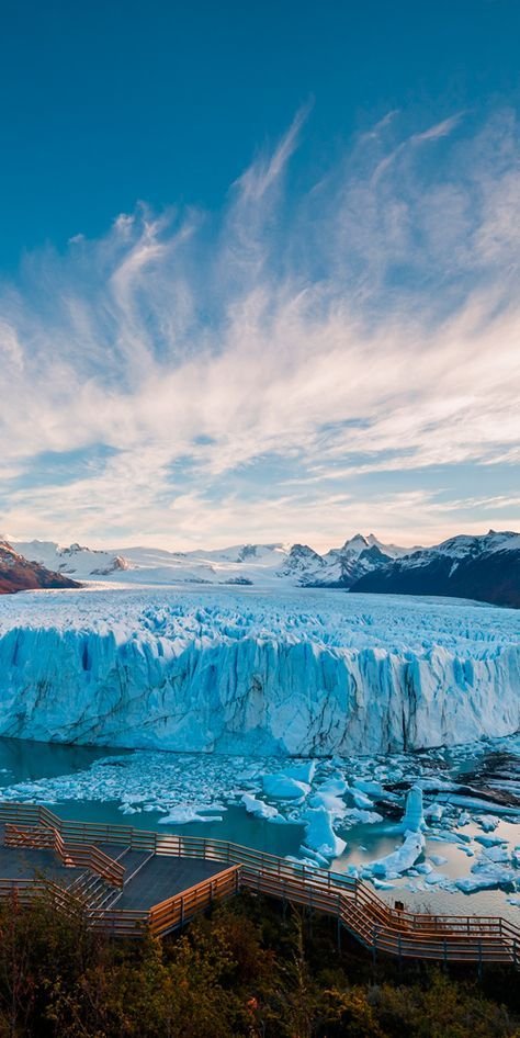 el calafate.jpg