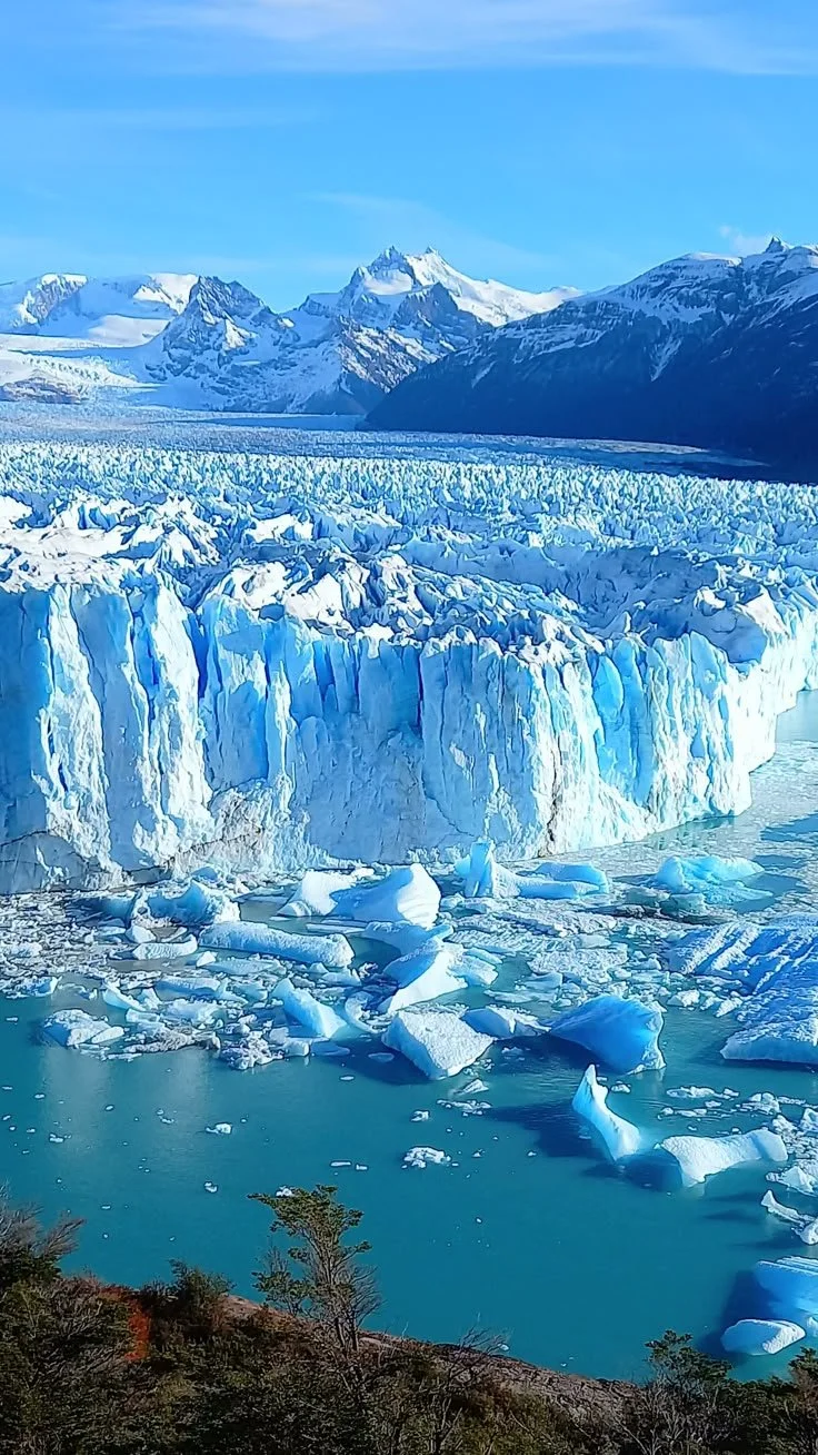 el calafate 1.jpg