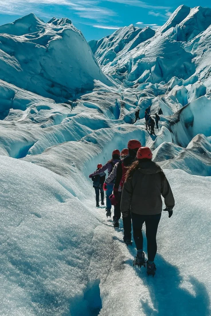calafate 3.jpg