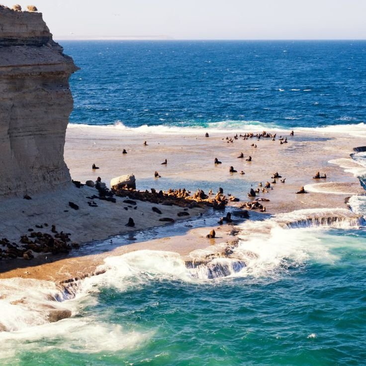 PENINSULA VALDES.jpg