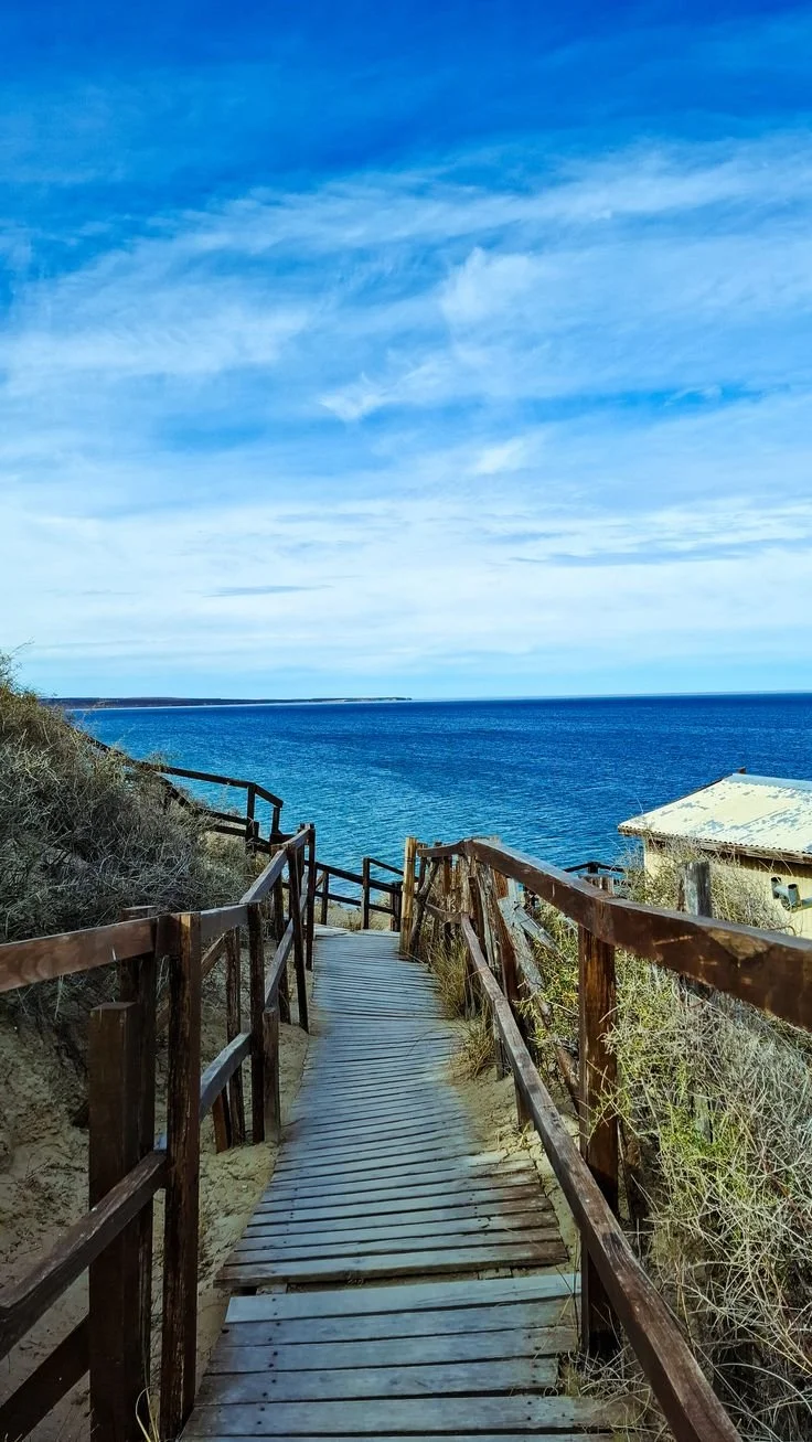 PUERTO MADRYN.jpg