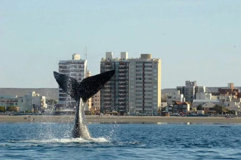 Puerto Madryn