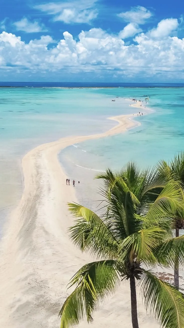 Playa con arena blanca y agua turquesa, palmeras en primer plano, cielo con nubes y algunas personas caminando por la playa en la distancia.