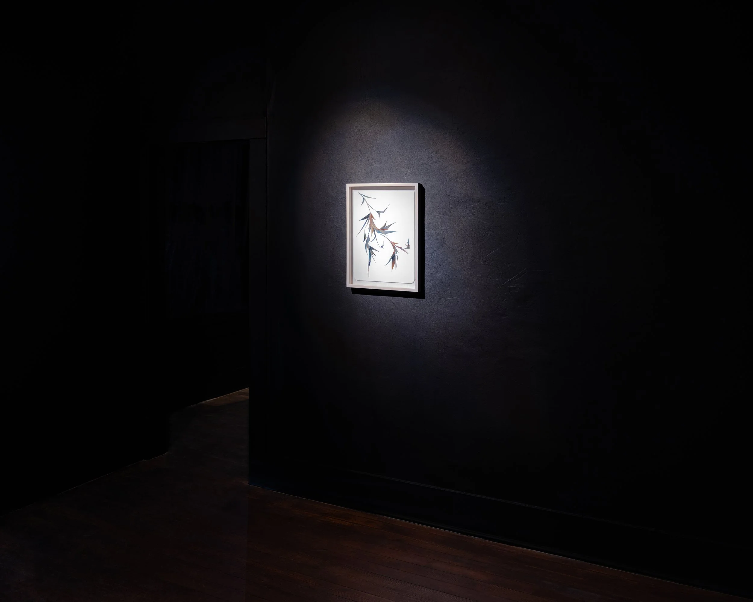 Photo by Jorge Villarreal courtesy Sala Diaz
