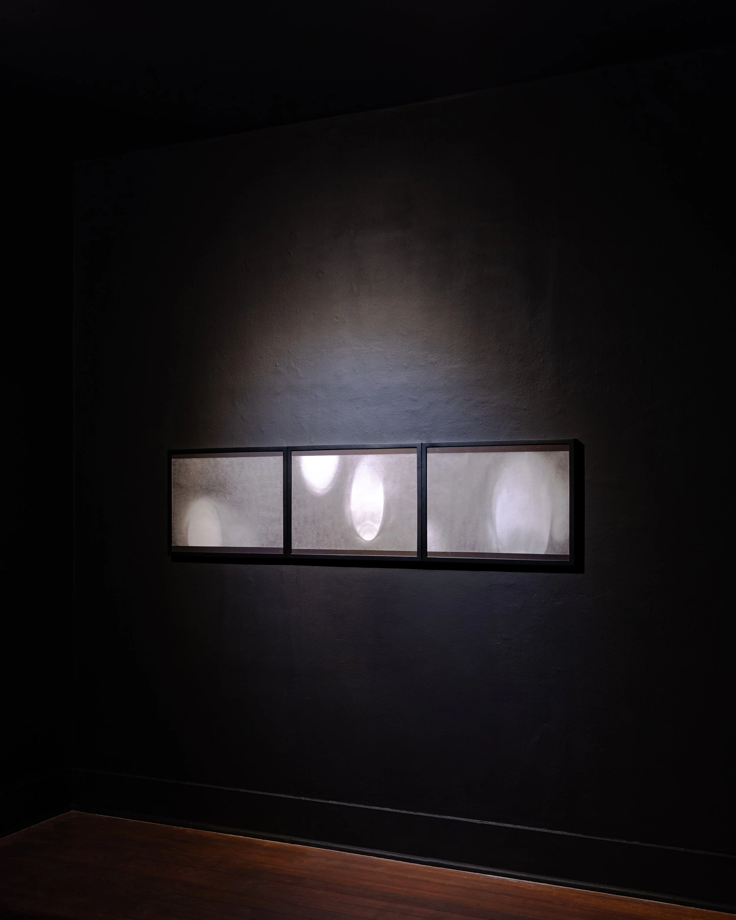 Photo by Jorge Villarreal courtesy Sala Diaz