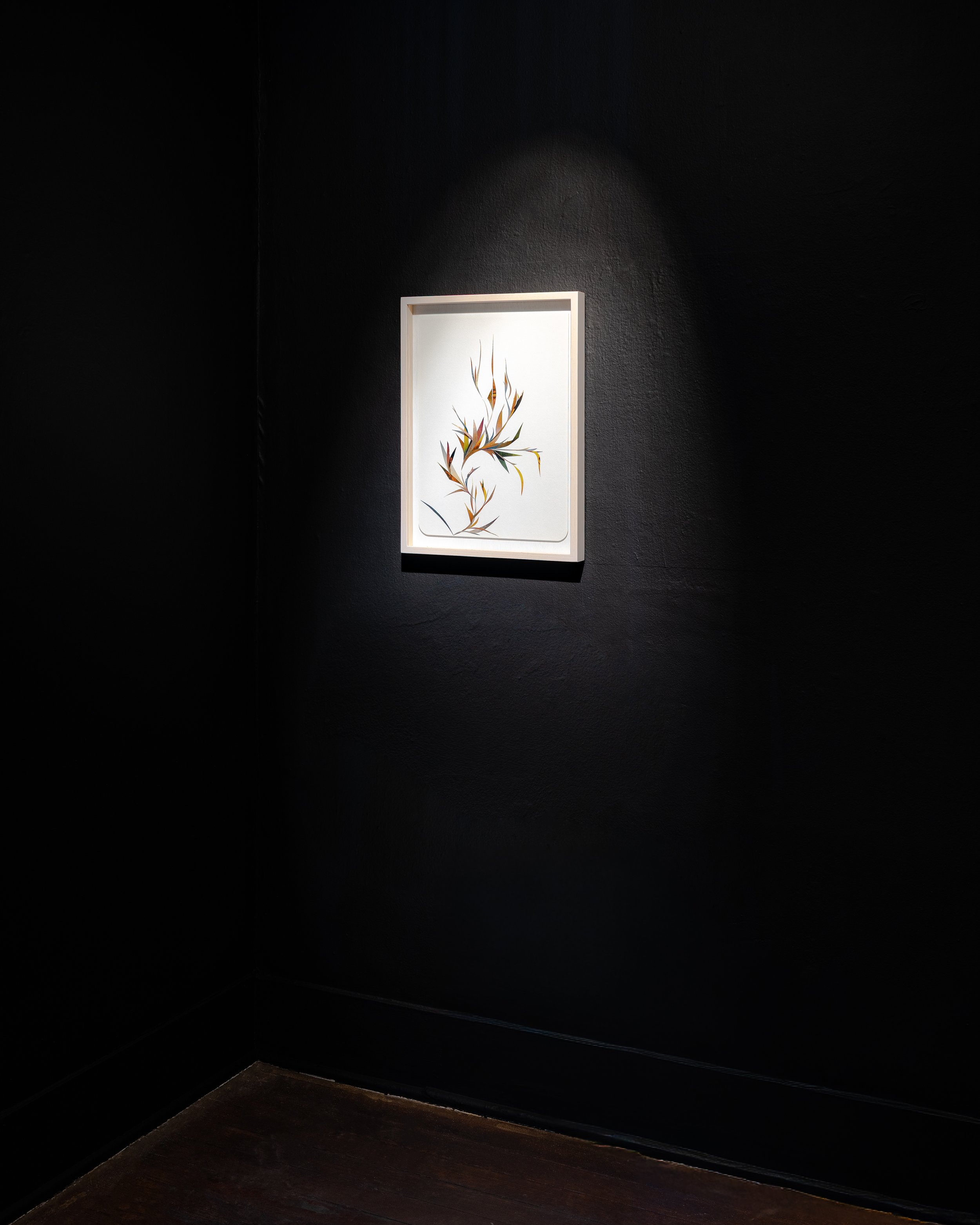 Photo by Jorge Villarreal courtesy Sala Diaz