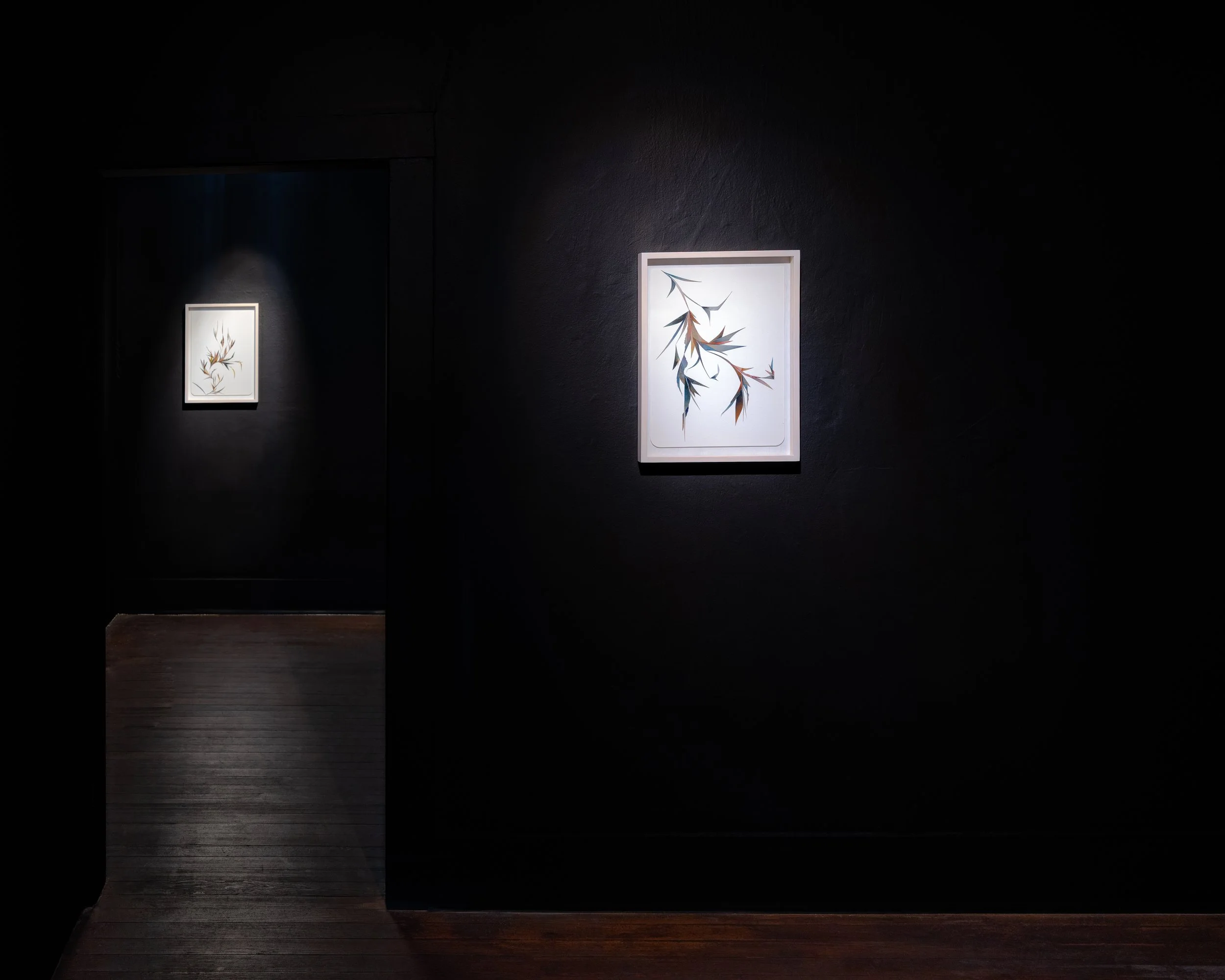 Photo by Jorge Villarreal courtesy Sala Diaz