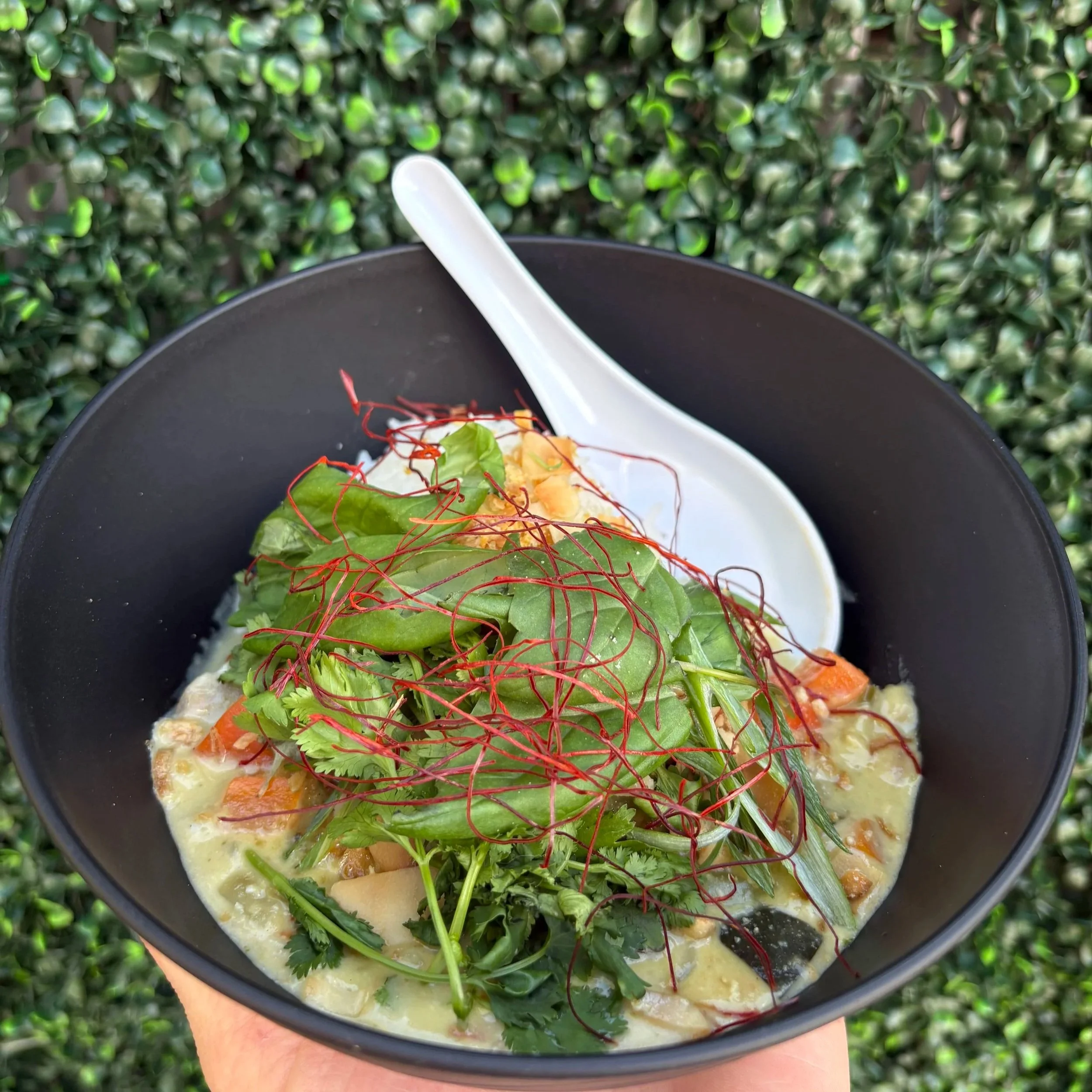 A bowl filled with salad containing greens, shredded carrots, and microgreens, with a white spoon resting on the edge of the bowl, held by a person's hand outside against a backdrop of green foliage.
