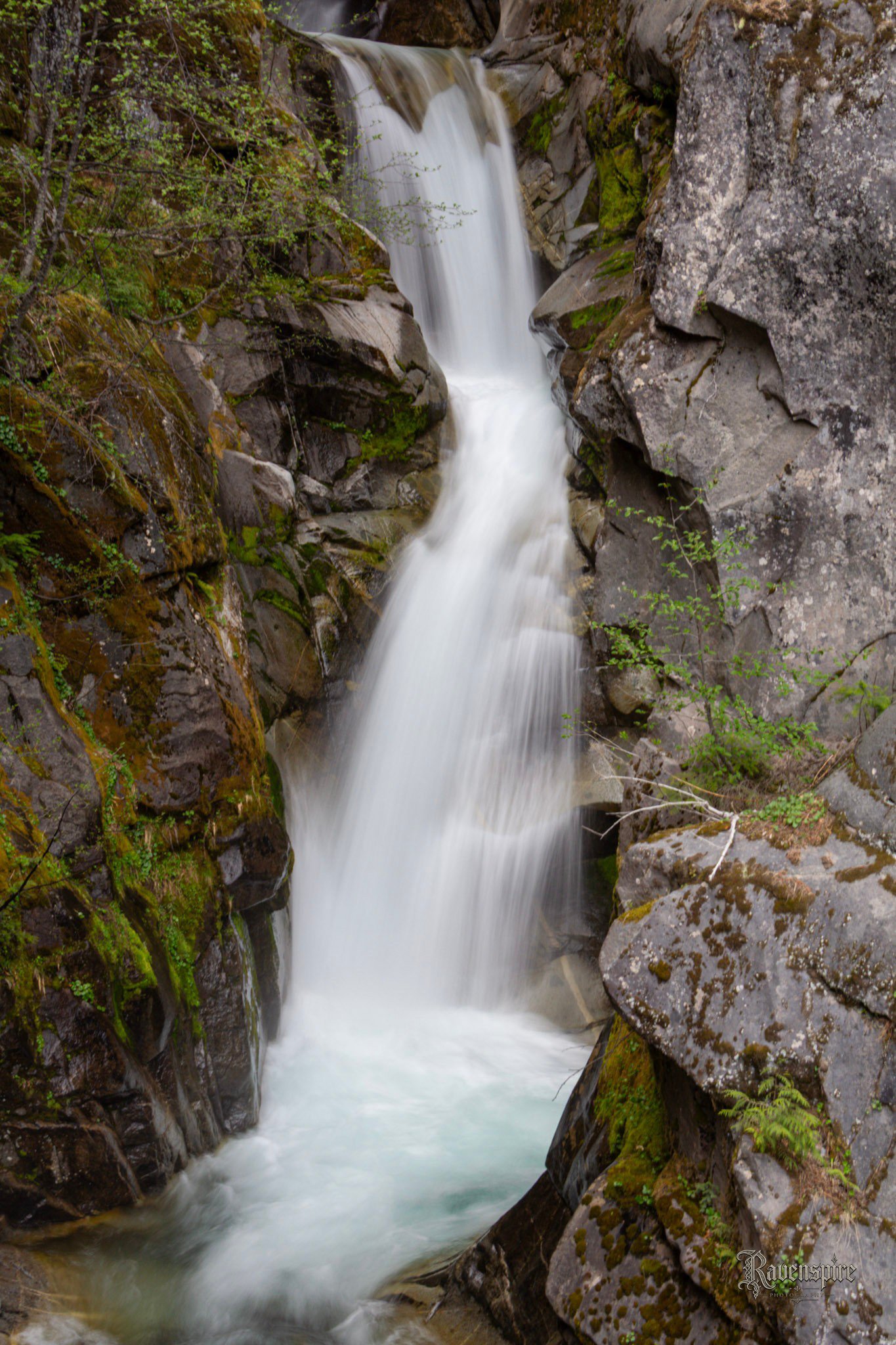 _MG_7464.jpg