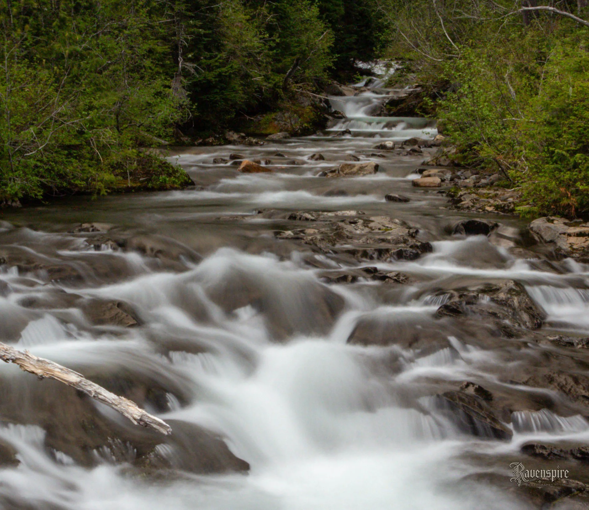 _MG_7817.jpg