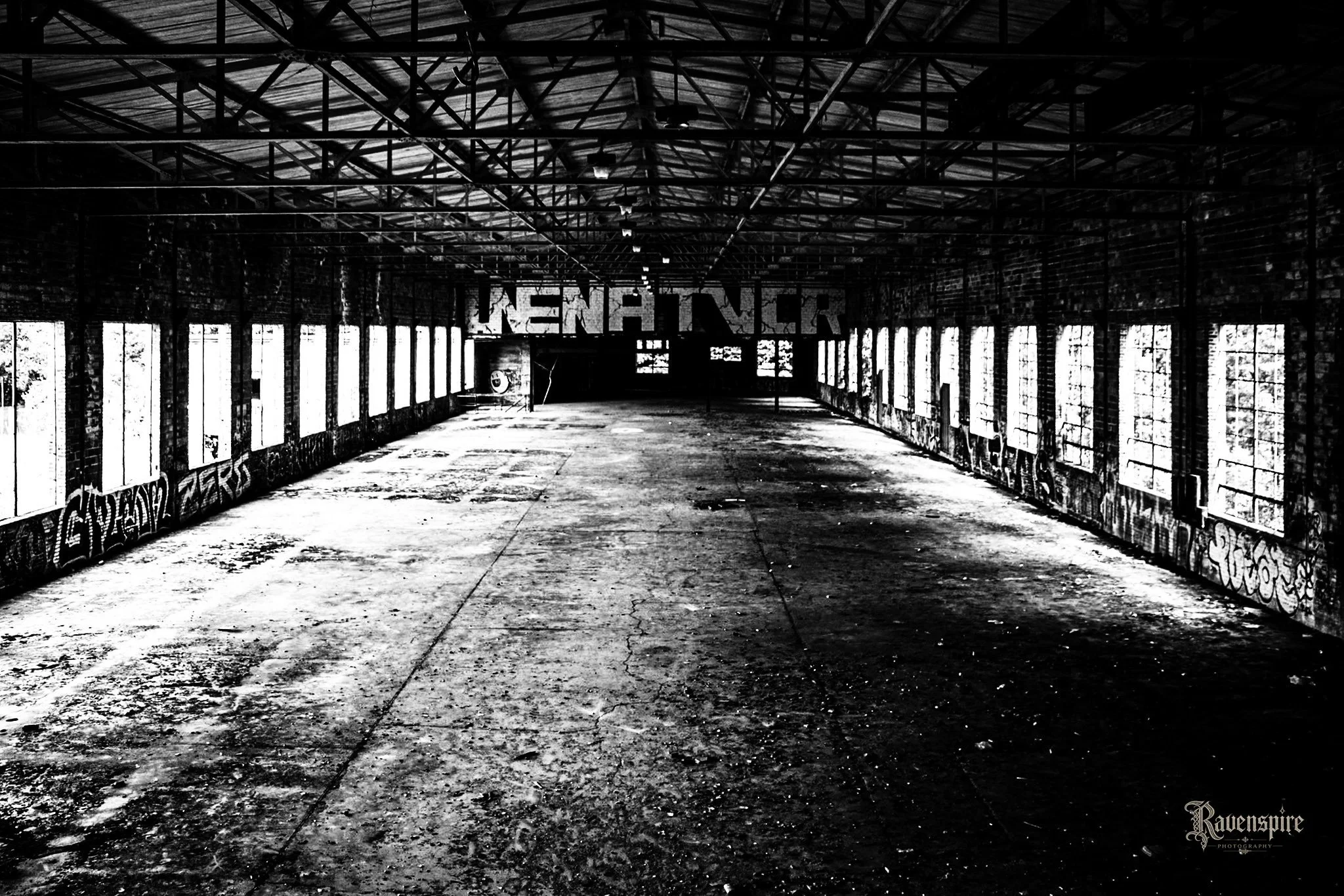 IRON HALO MEDIA -3012.jpg