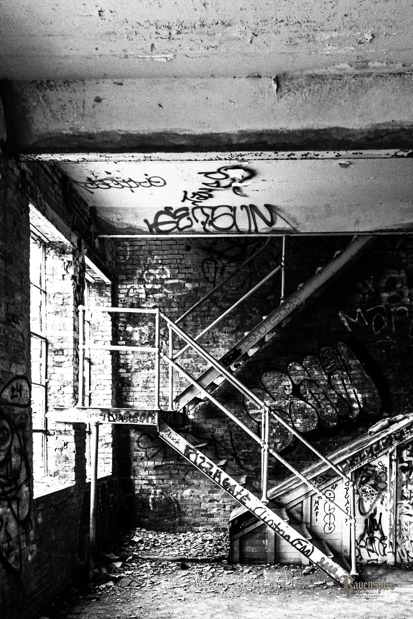 IRON HALO MEDIA -1639.jpg