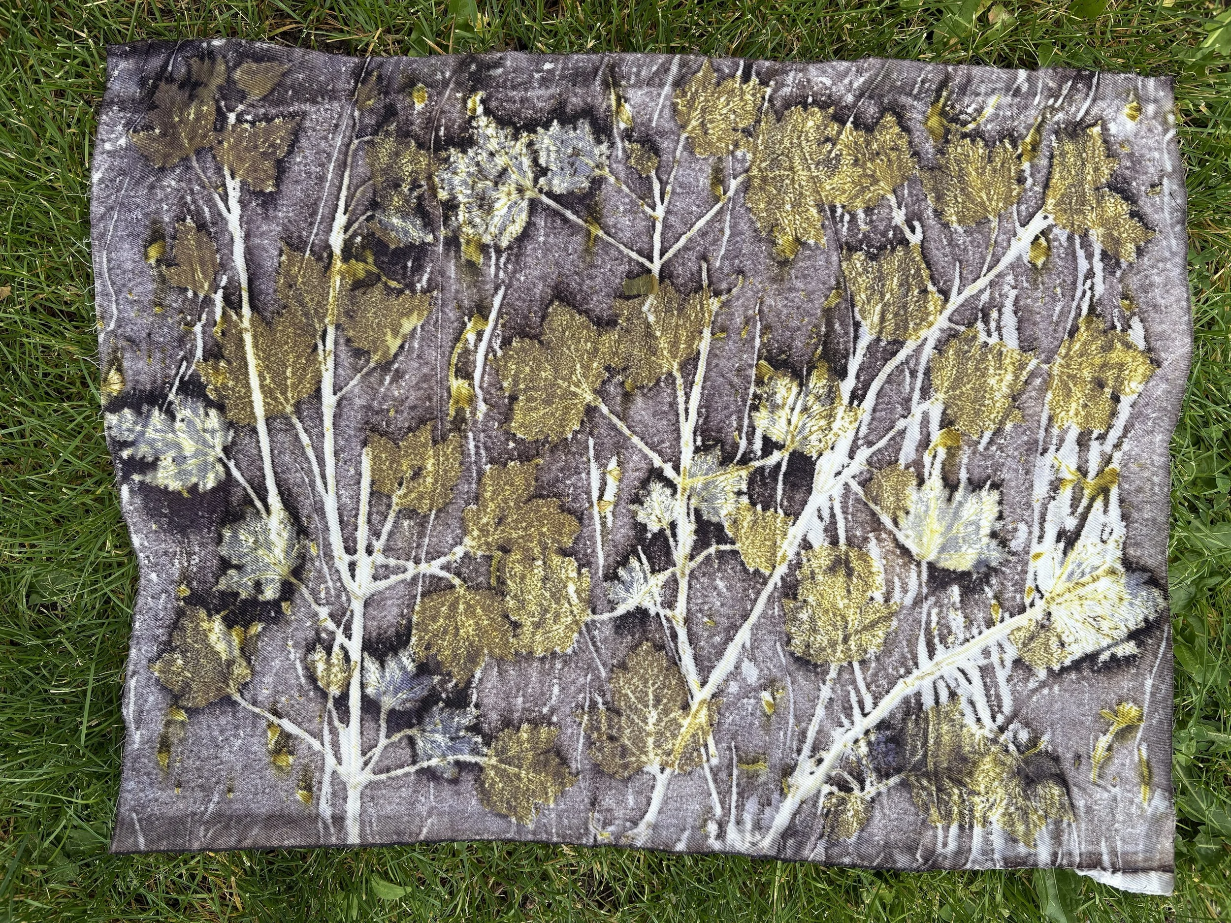 Rocky Mountain Maple Ecoprinted Cloth