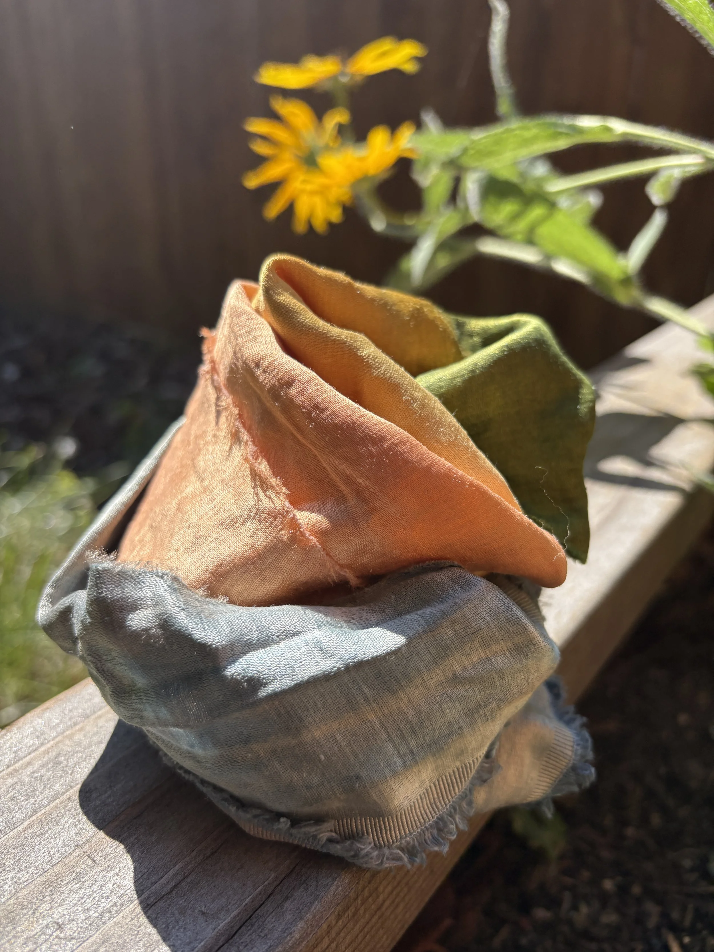 Creating A Color Palette With Natural Dyes
