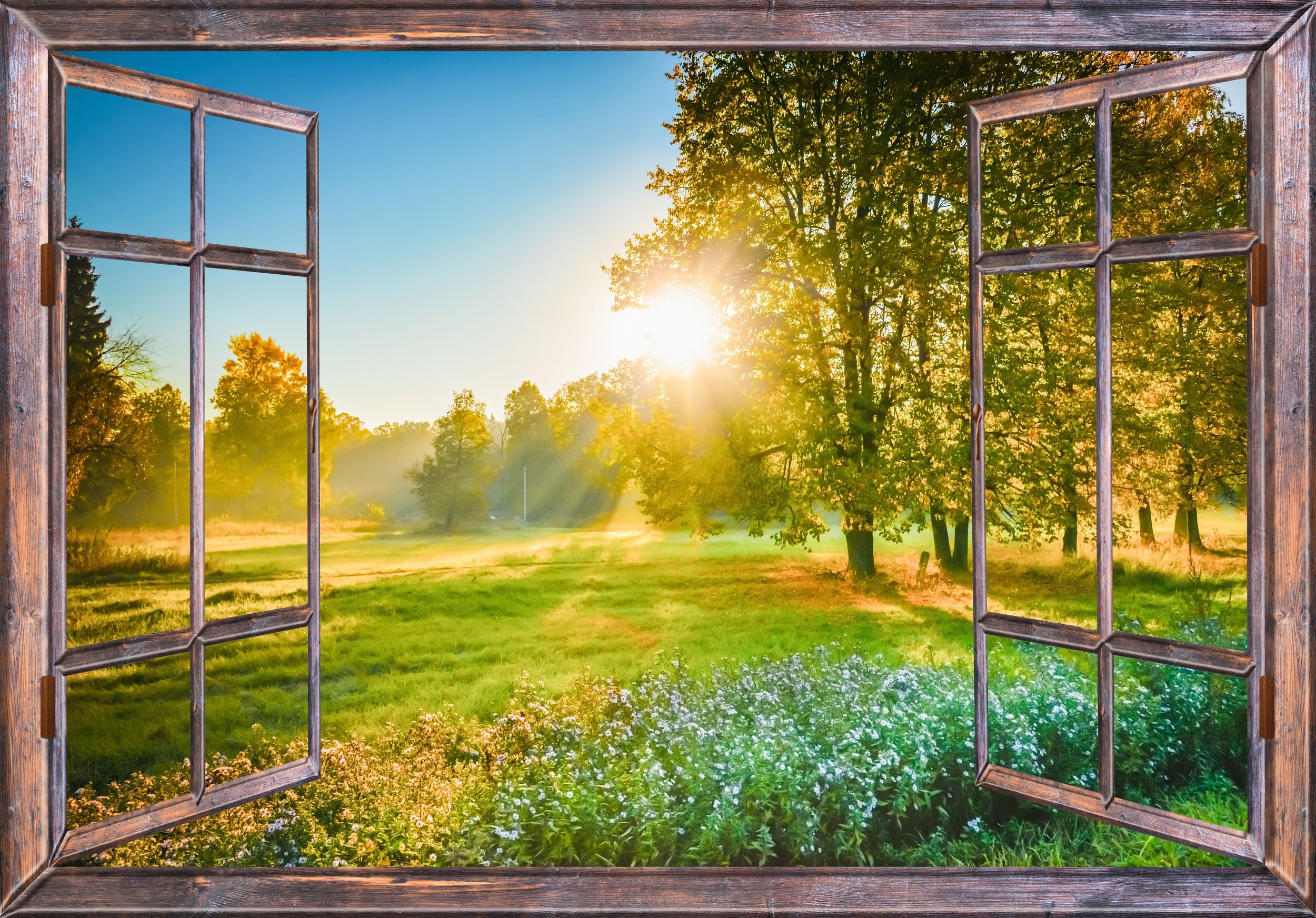 Looking through an open window at a sunny landscape with green grass, trees, and a bright sun in the sky.