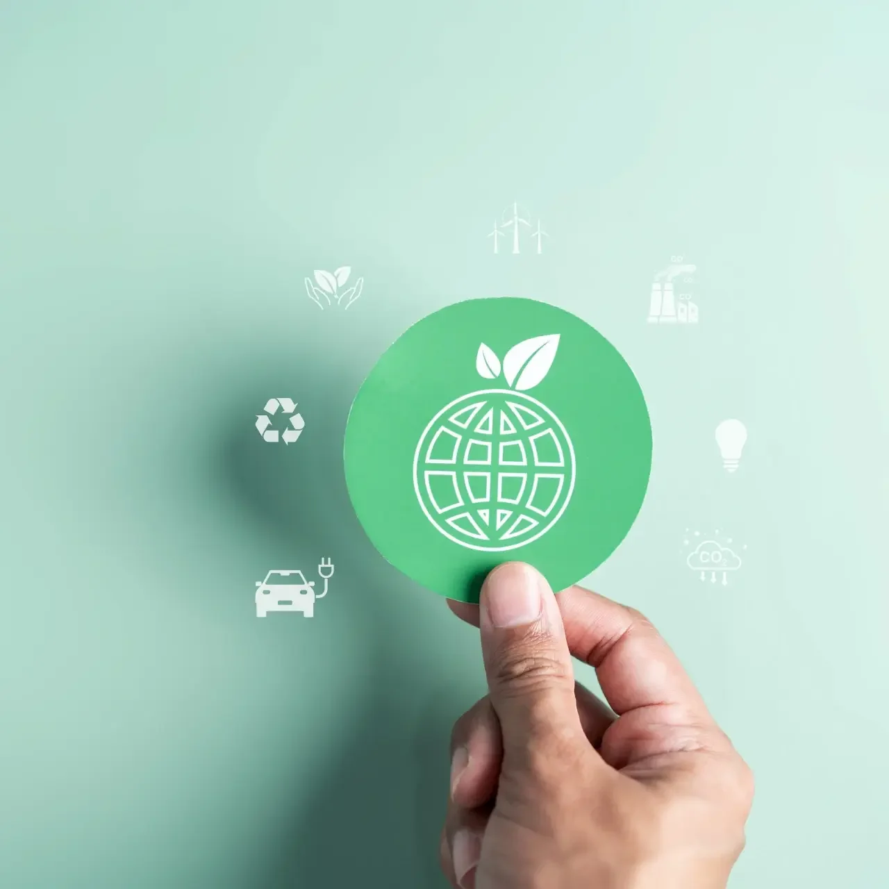 What is Sustainability? A Kid-Friendly Guide for the Classroom.