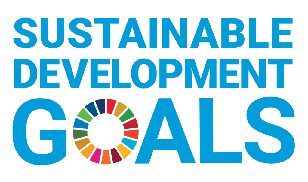 What Are the SDGs and Global Citizenship Education?