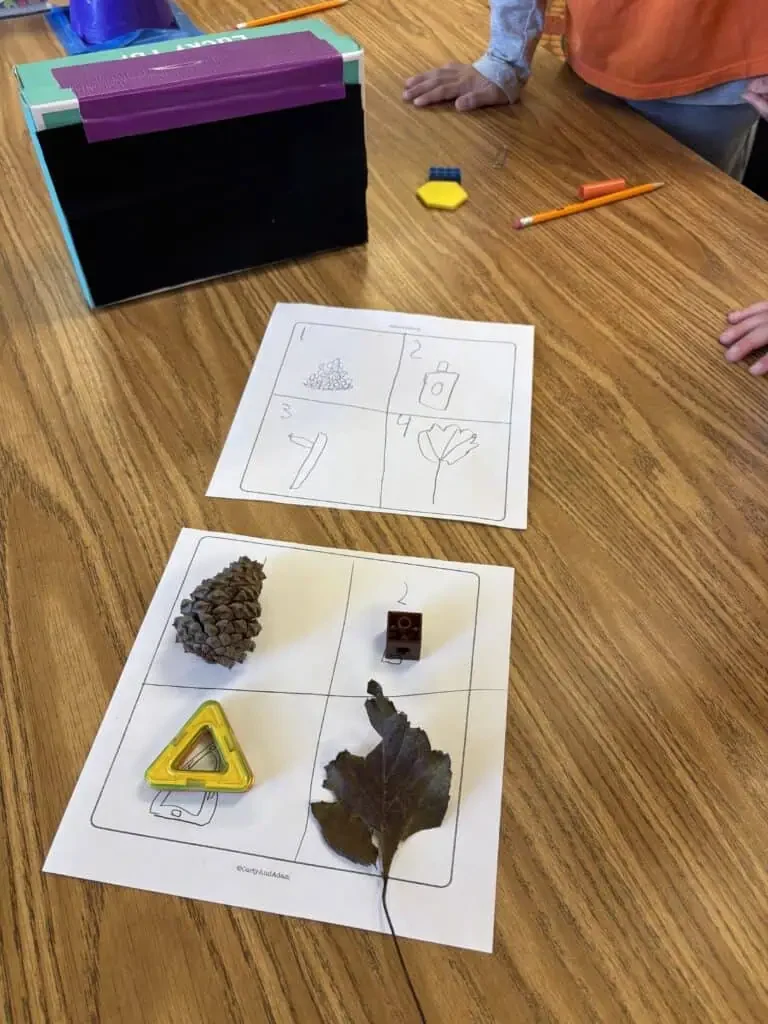 Bringing Nature Indoors: How a Rainy Day Turned Into a Hands-On Discovery Lesson