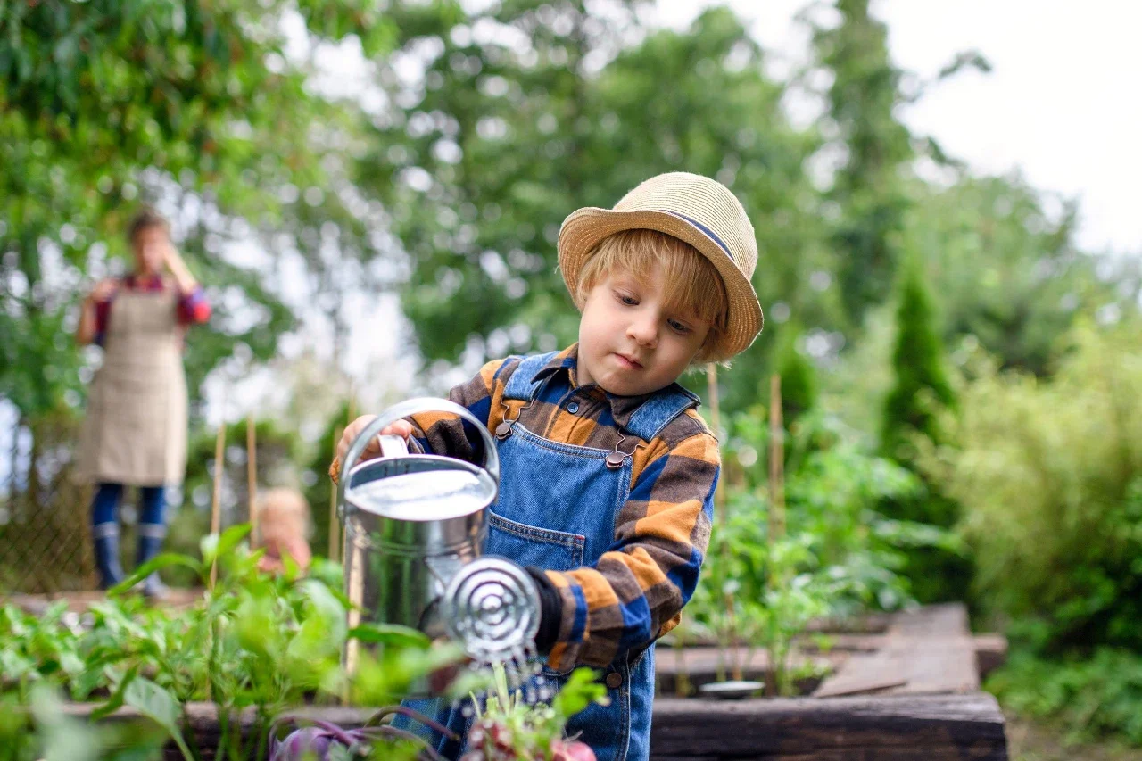 The Top 3 Things You Can Do to Live More Sustainably
