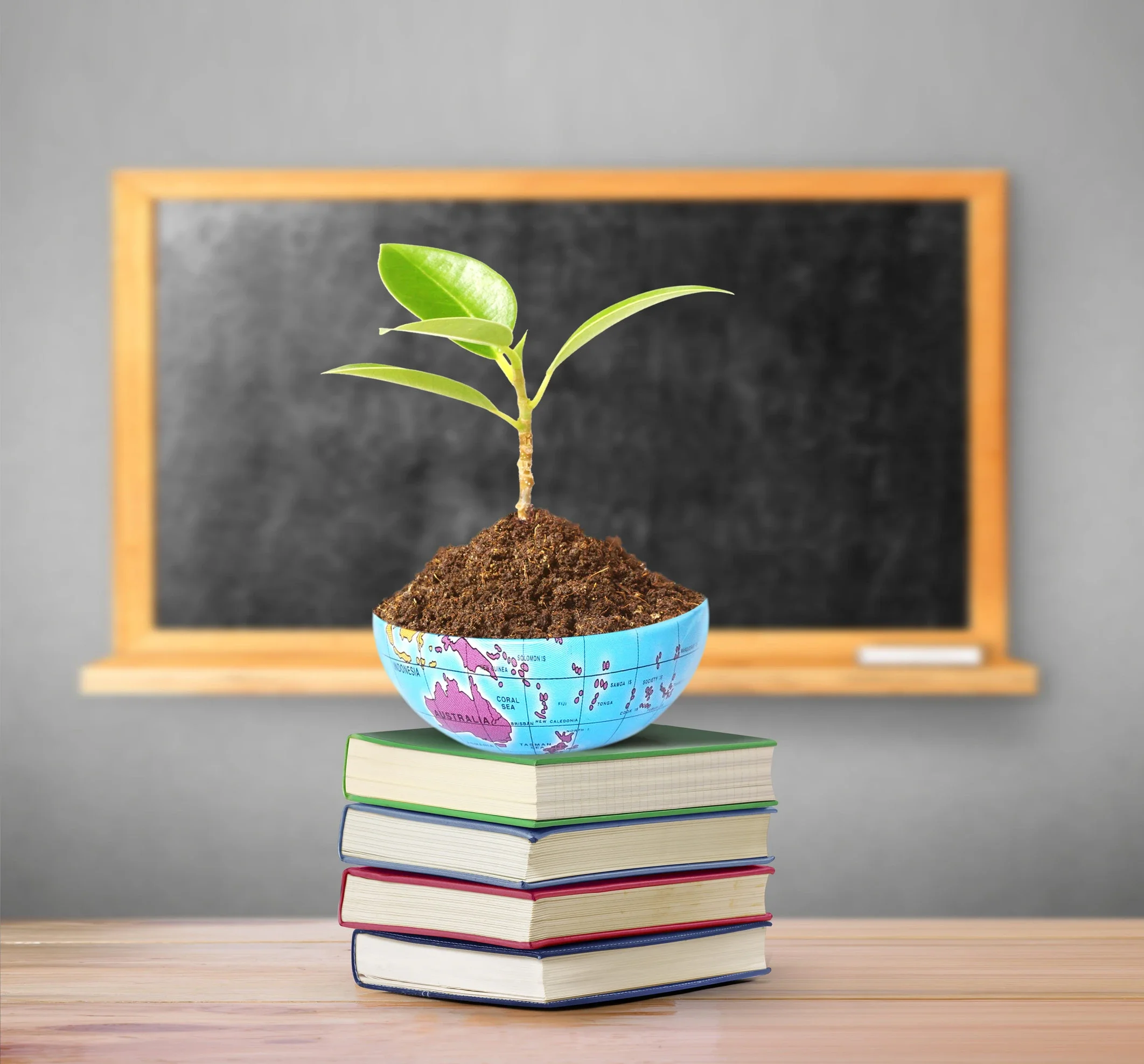 The Sustainability Mindset