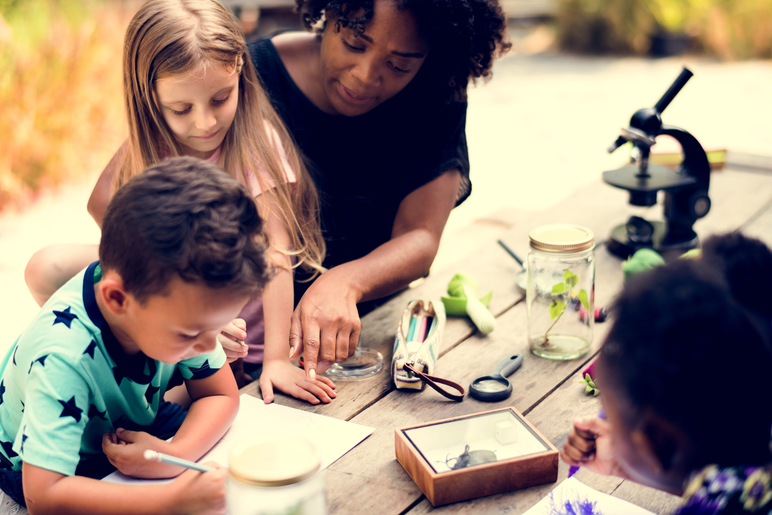 Environmental Literacy: What the System Is Telling You