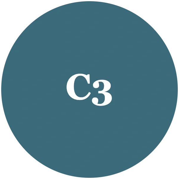 A dark teal circle with white text in the center that reads 'C3.'