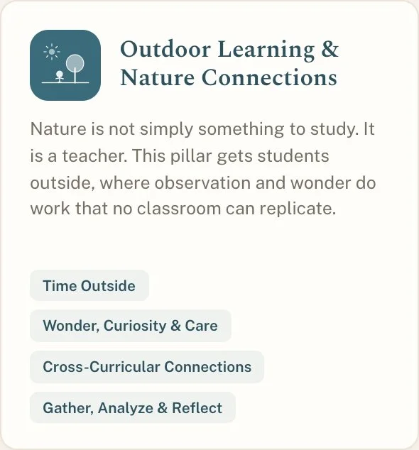 Outdoor Learning & Nature Connections