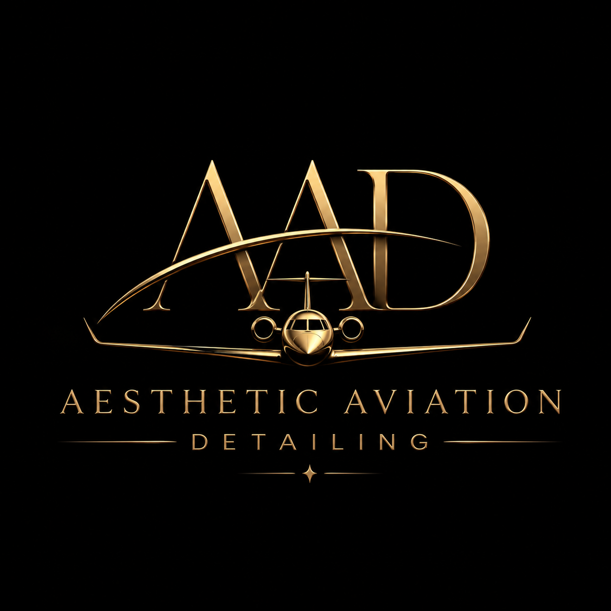 Aesthetic Aviation Detailing and Services in Chicago