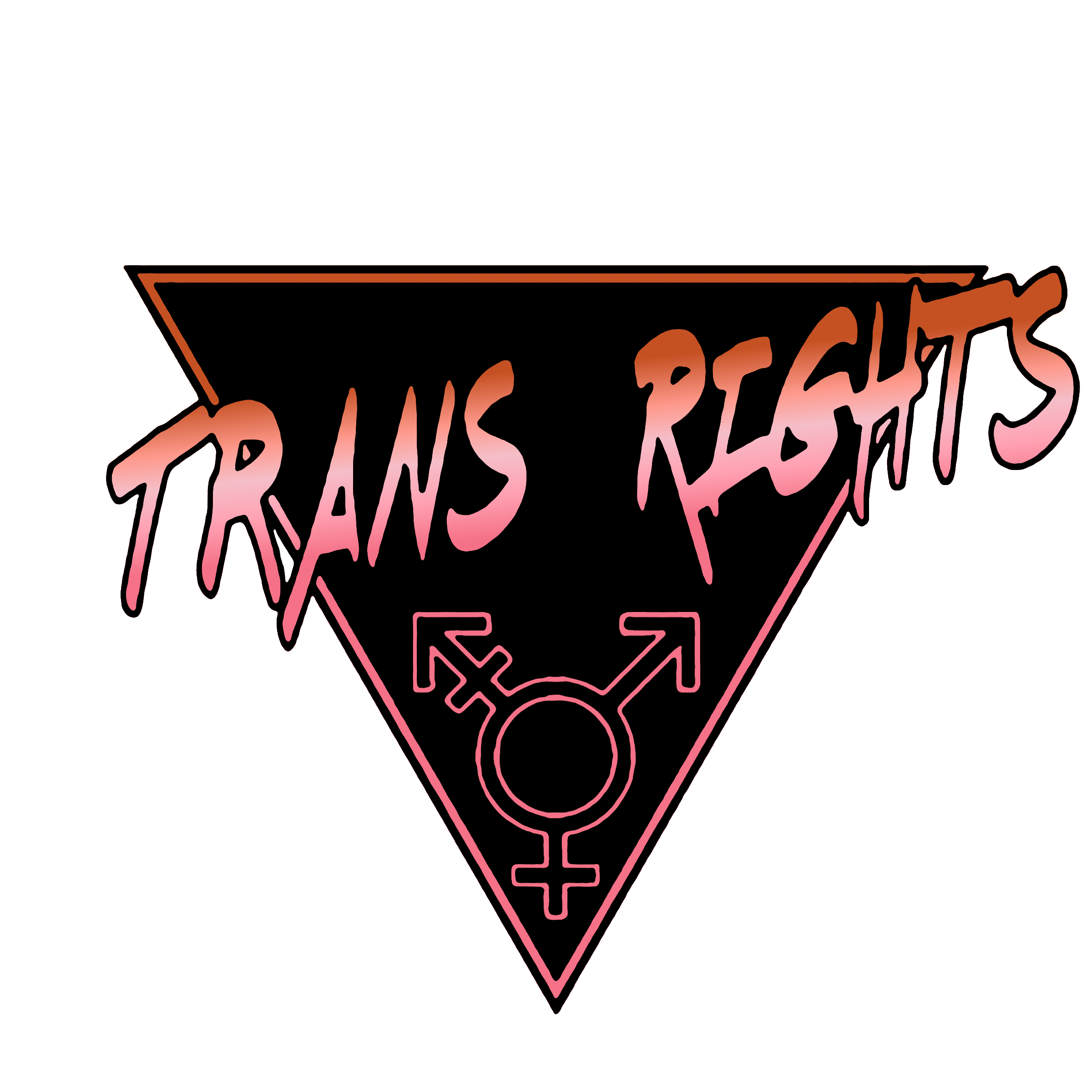 Trans Rights les.png