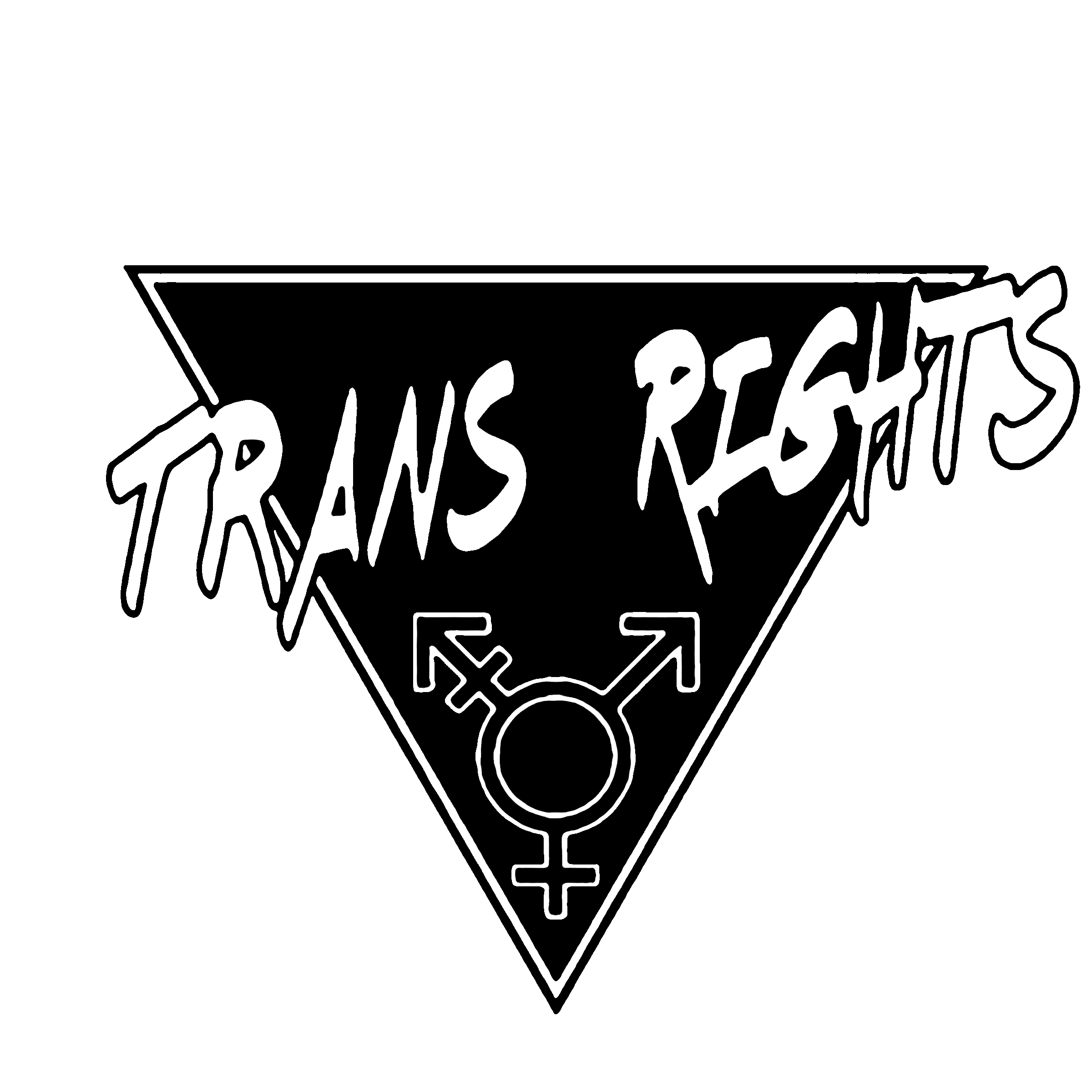 Trans Rights transparent.png