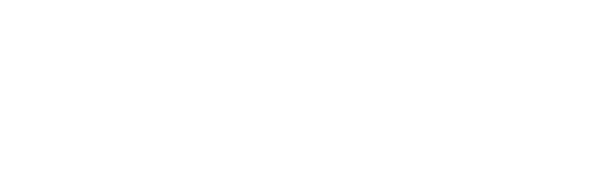 RETAIL STRATEGY CONSULTANT
