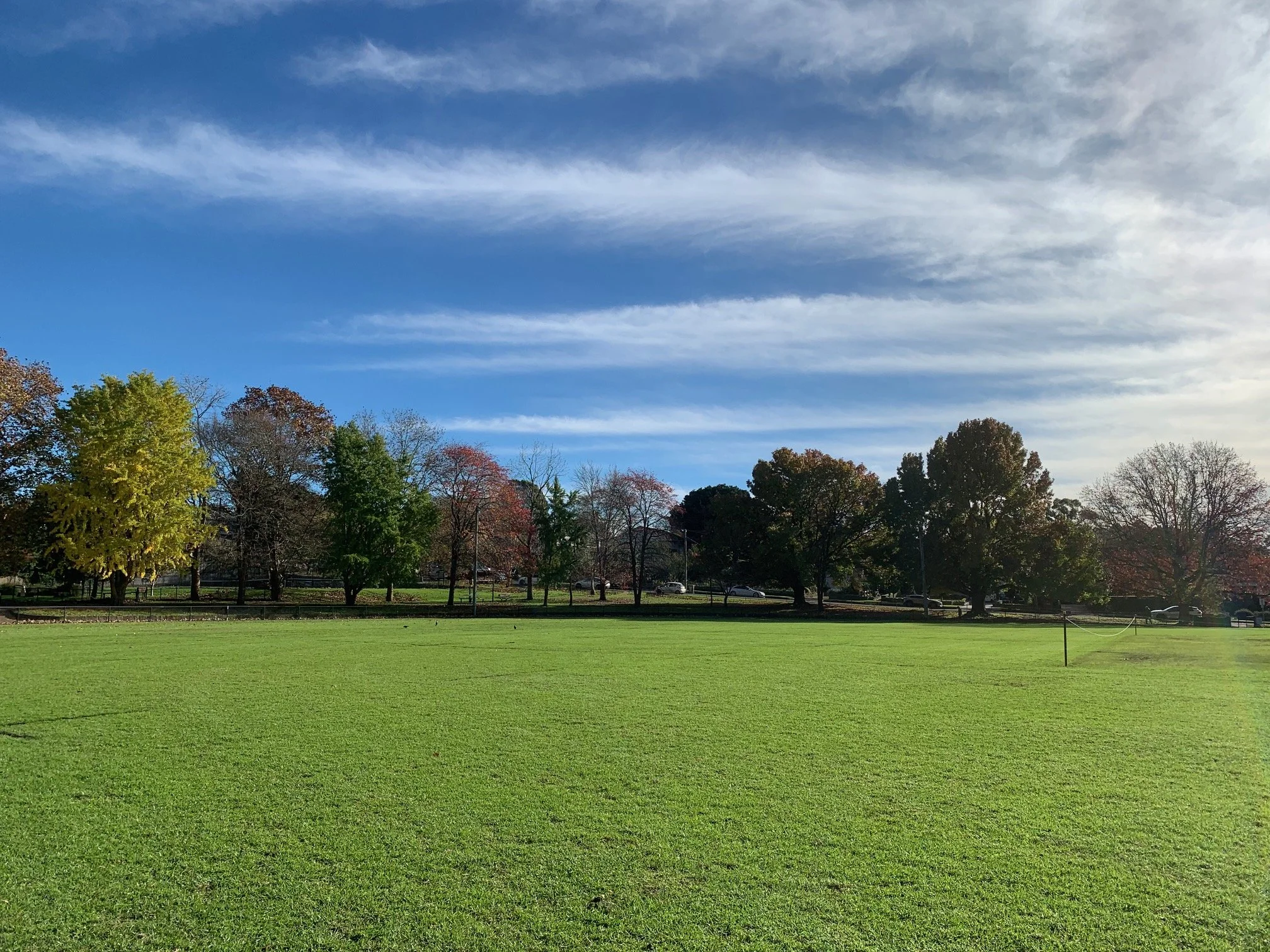 A large grassy park with trees showing fall foliage and a treeline on the horizon. The sky is mostly clear with high cirrus clouds.
