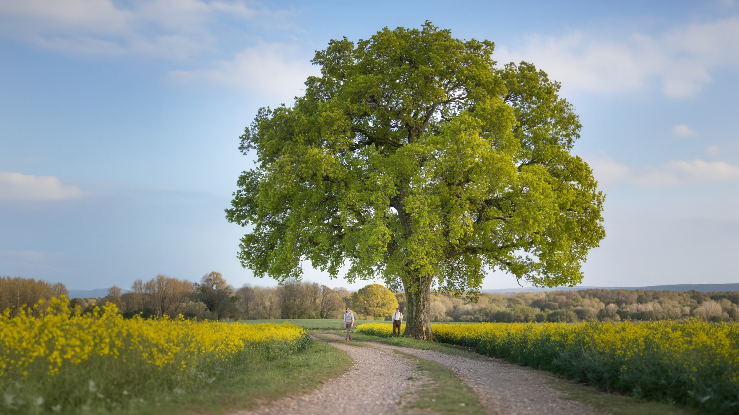 The Roots of an Oak