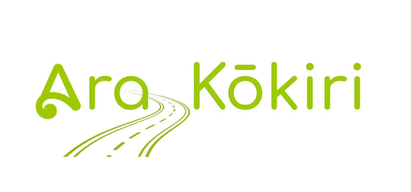 Ara Kōkiri Driver Theory Course - 2 day learner licence course
