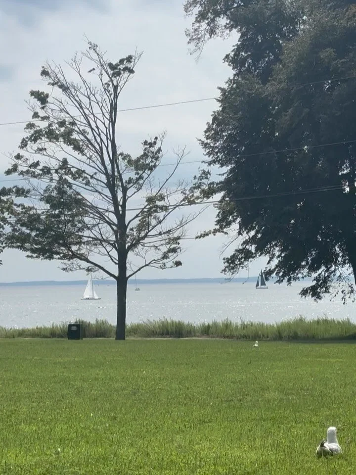 #magicalmoments from Sherwood Island State Park