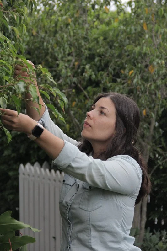 Anita Csher, founder and designer, exploring botanical connections and organic nature-led design