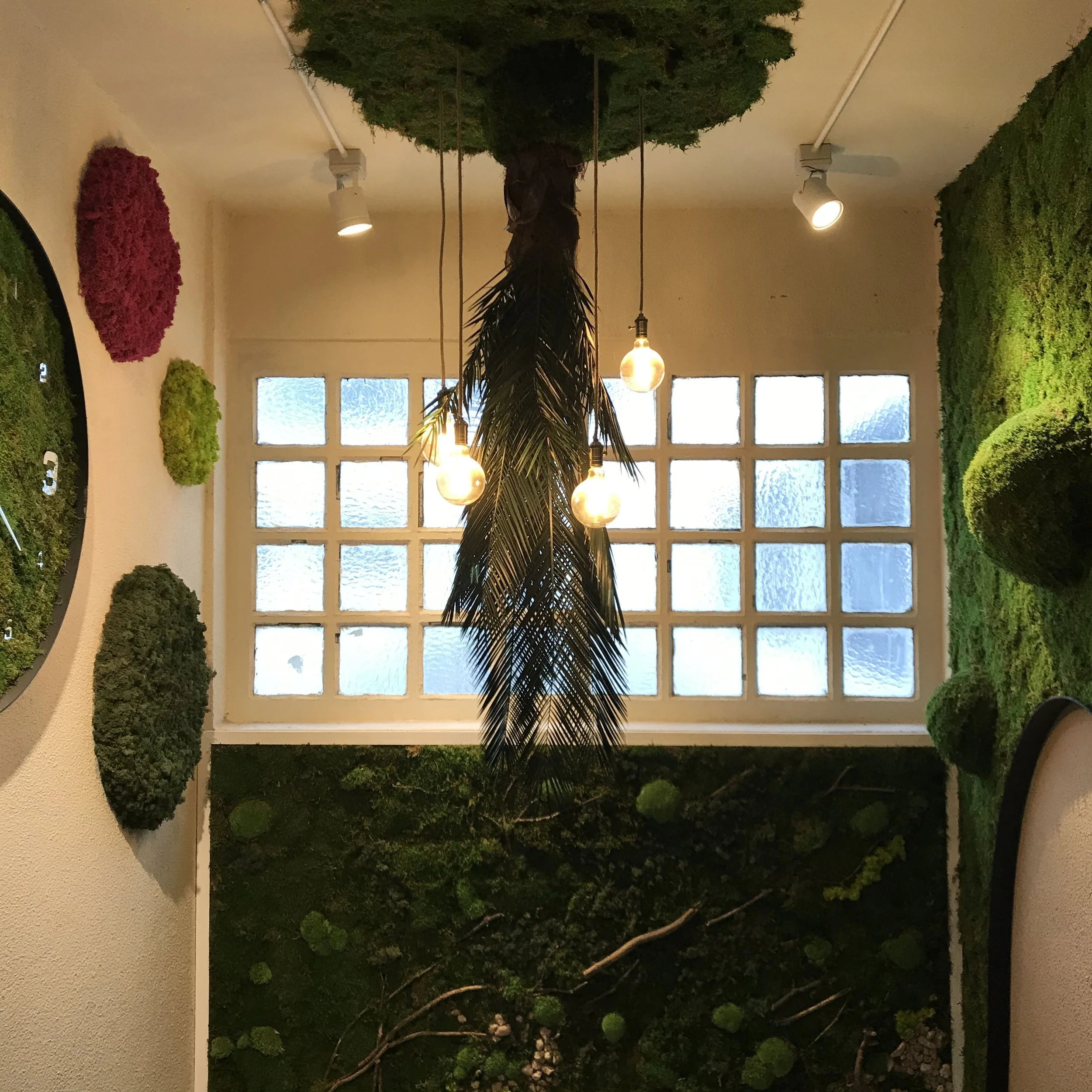 Indoor wall decorated with artificial greenery, including moss and tree branches, illuminated by overhead spotlights and hanging bulb lighting, with windows at the background.