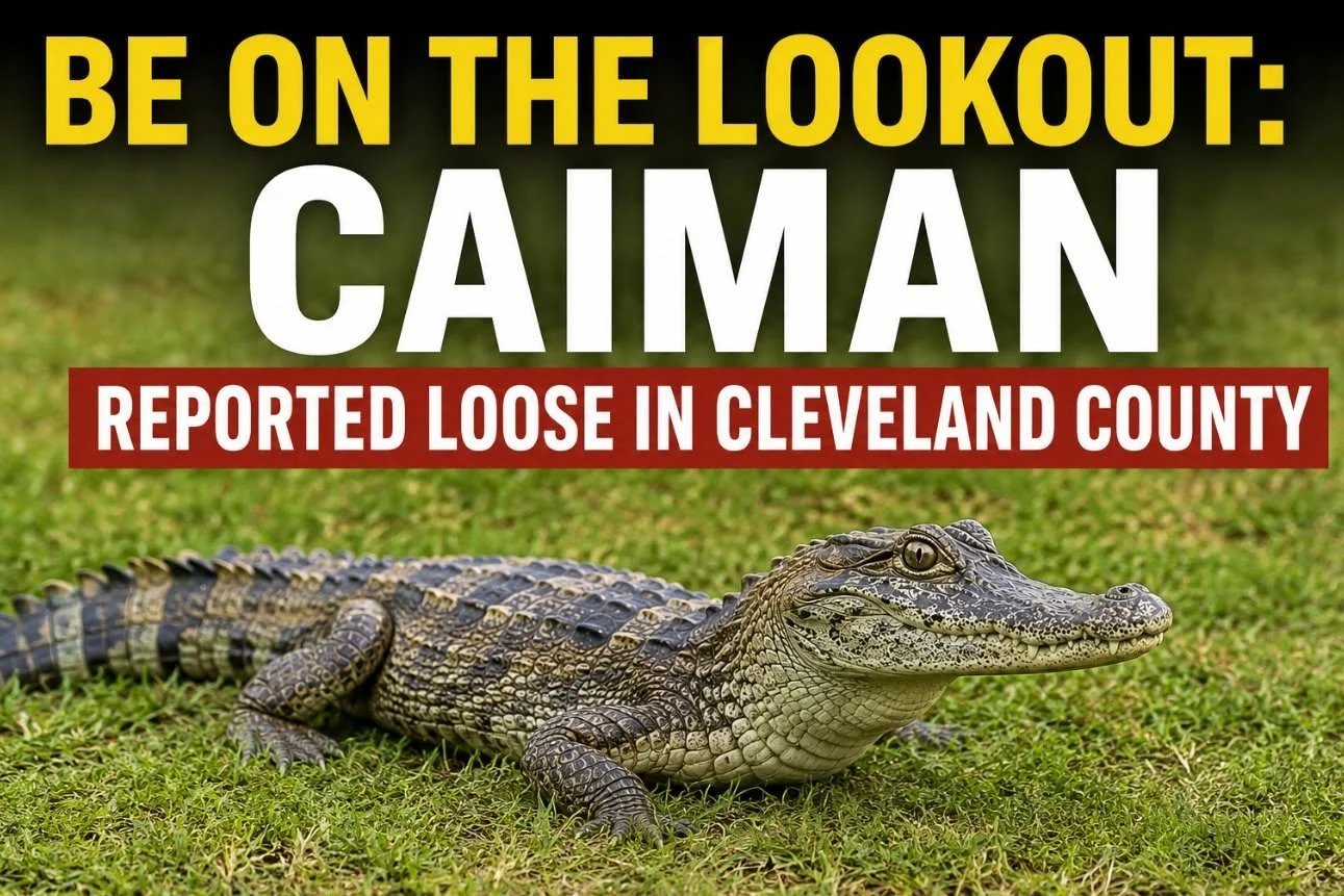 BE ON THE LOOKOUT: CAIMAN REPORTED LOOSE IN CLEVELAND COUNTY