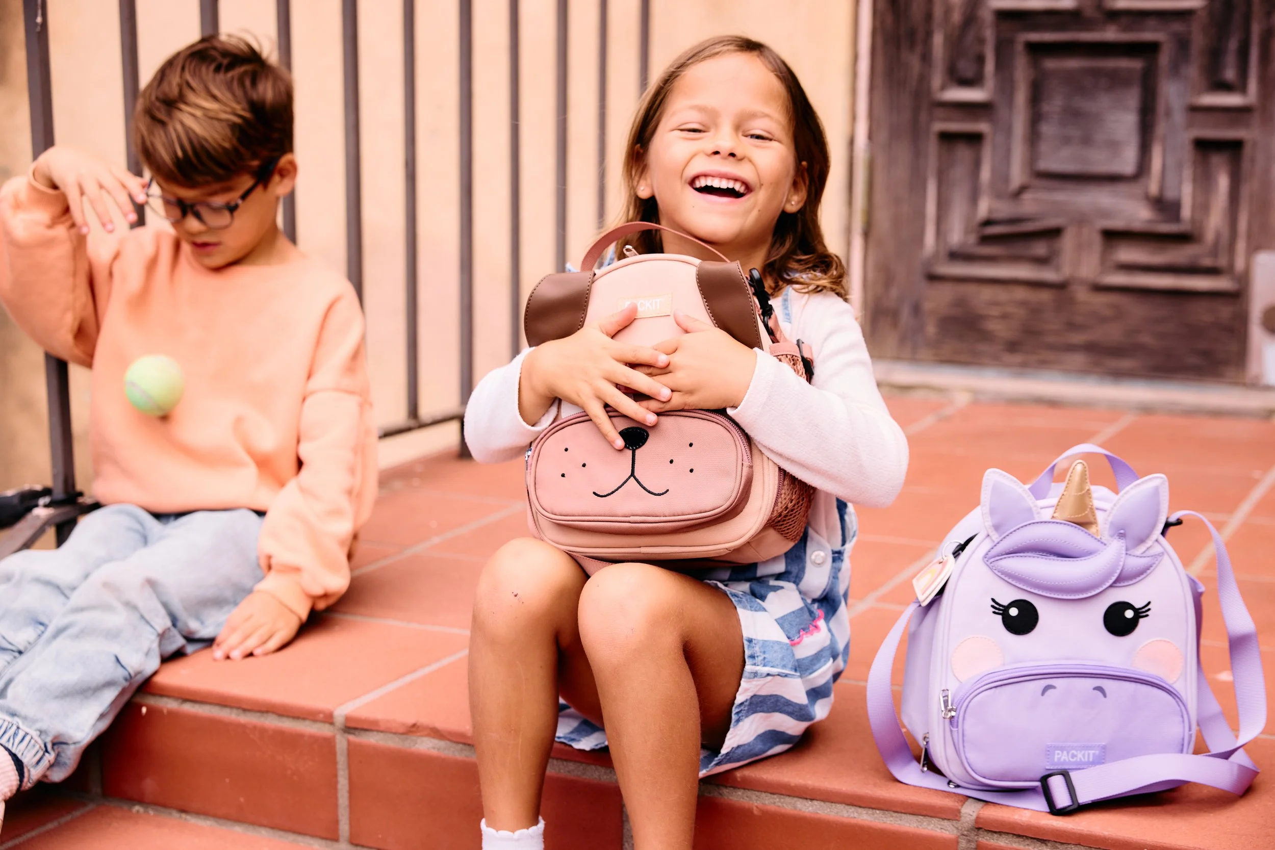 Freezable Friends Lunch Bags